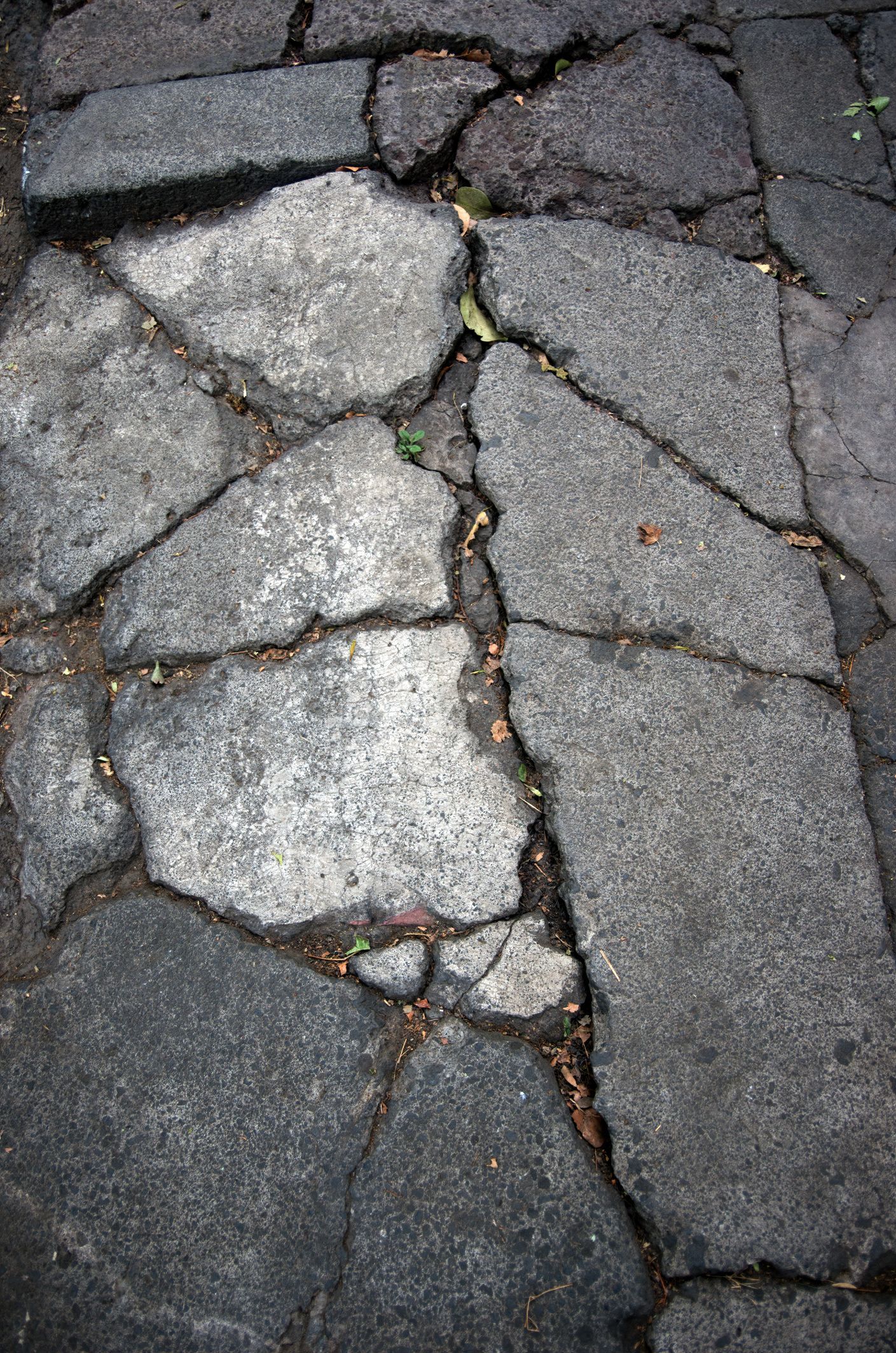 A Crushed Concrete — Covington, LA — Jenkins Construction and Asphalt