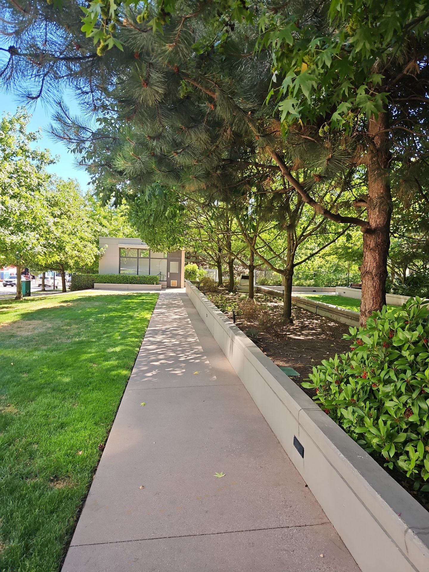 A paved sidewalk passes between a grassy lawn and a raised stone planter lined with trees leading toward a building.