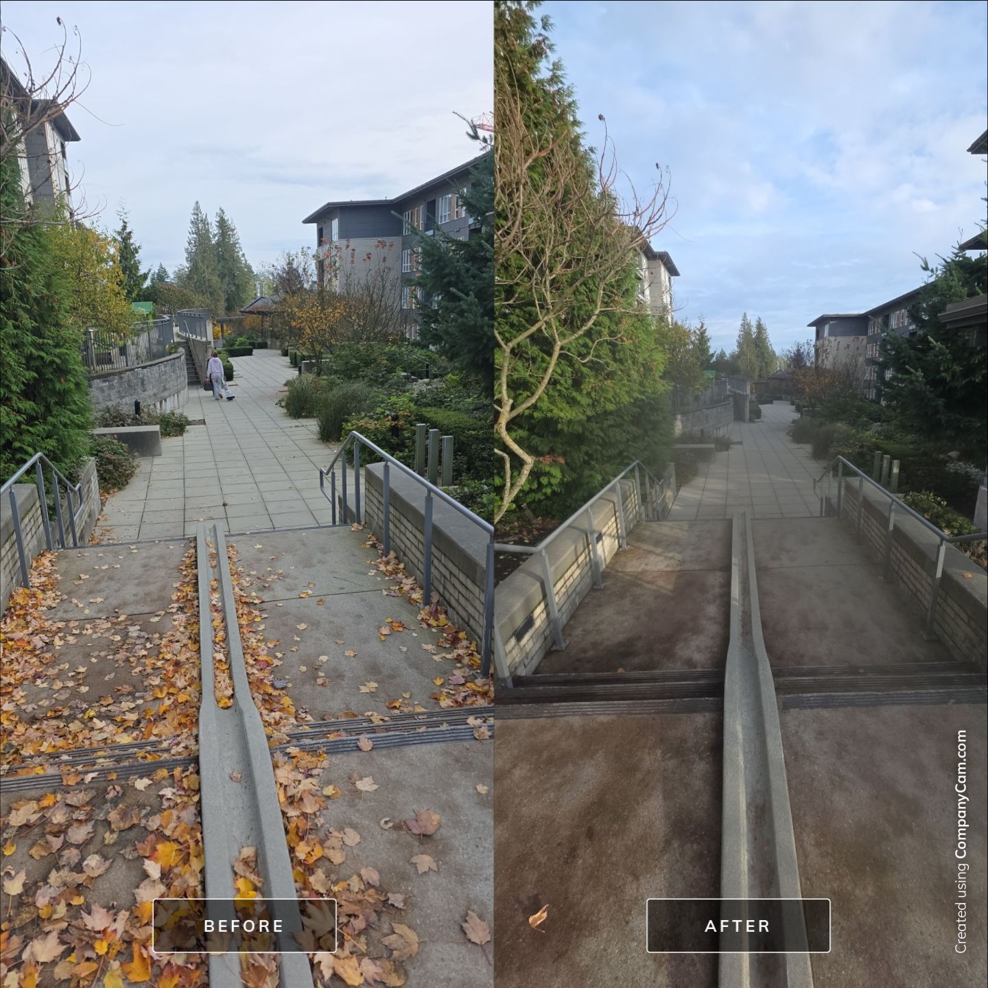 A split-screen comparison showing a walkway before and after the removal of fallen autumn leaves.