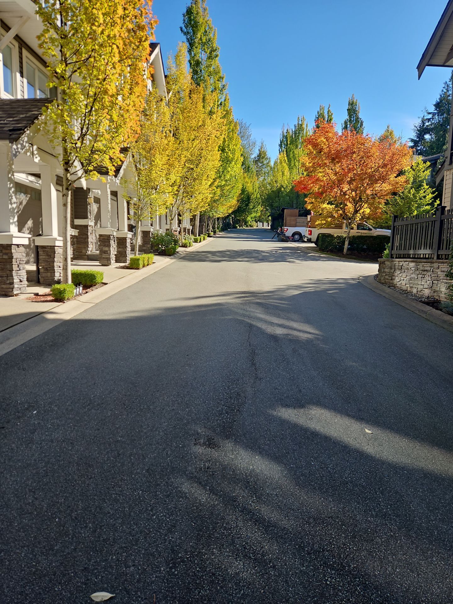 A paved road lined with townhomes and trees showing autumn colors of yellow and orange under a clear blue sky.