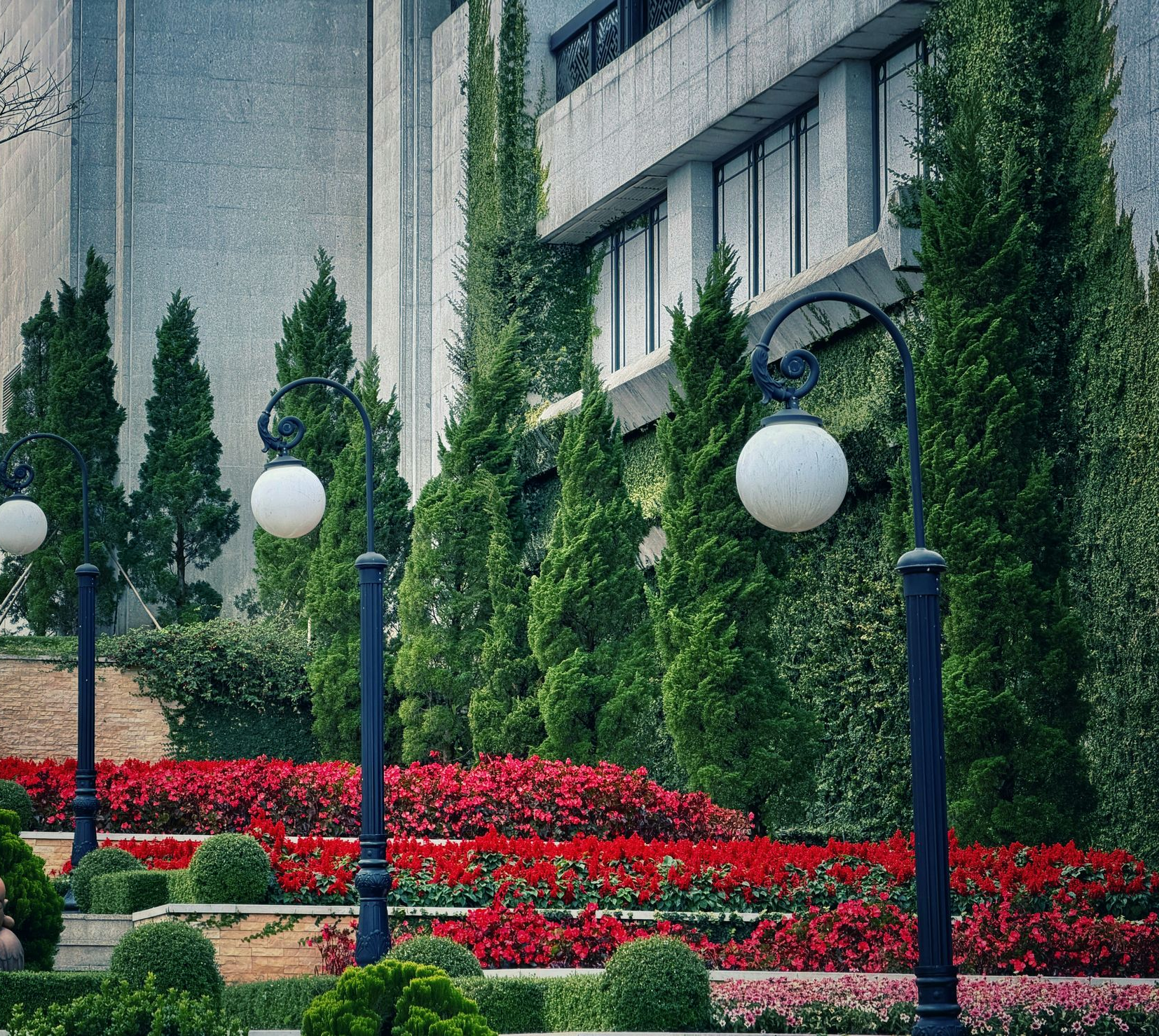 A building with a vine-covered facade stands behind a garden of bright red flowers, accented by tall trees and globe lamps.