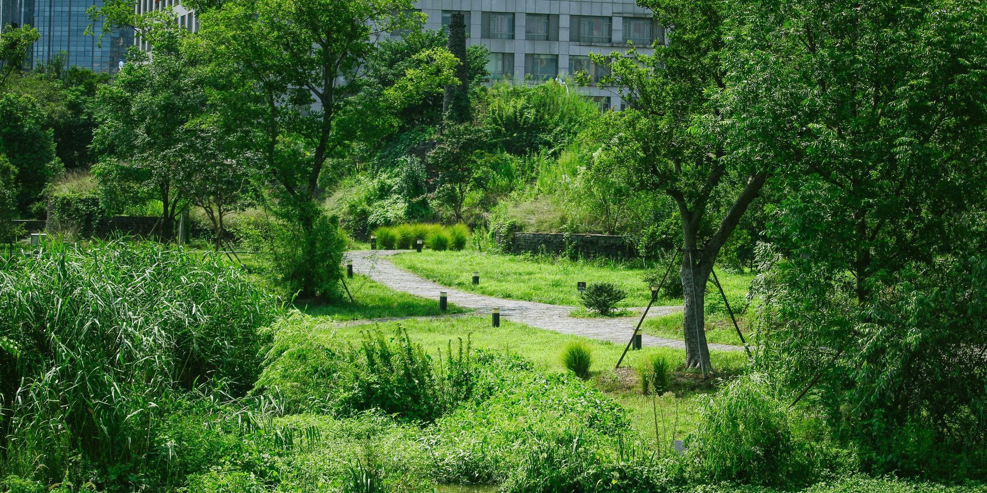 A winding stone path leads through a lush green park towards a distant building, framed by trees and dense foliage.