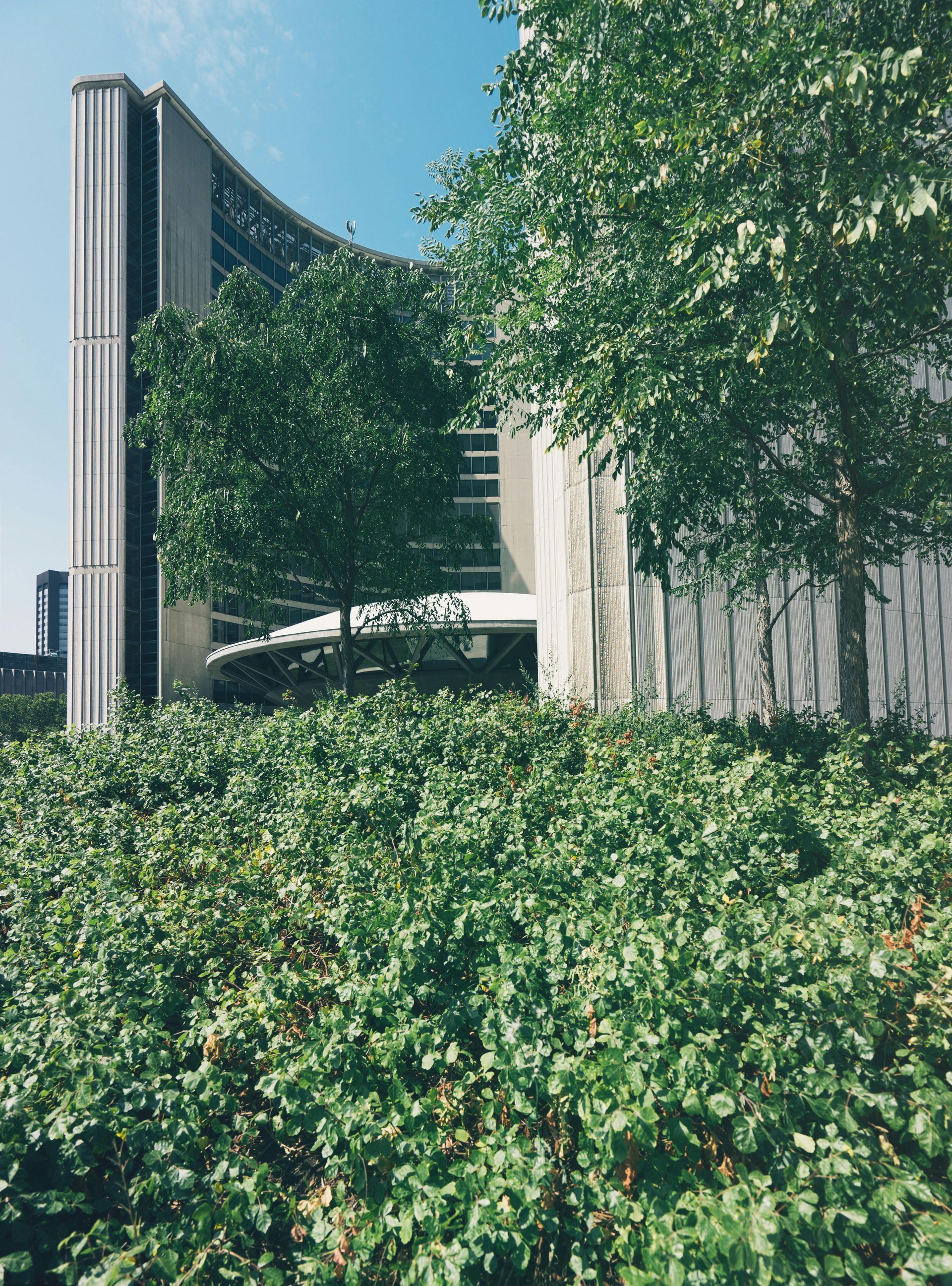 Lush green bushes in the foreground, with trees framing the curved, concrete facade of Toronto City Hall under a blue sky.