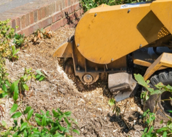 Stump Grinding