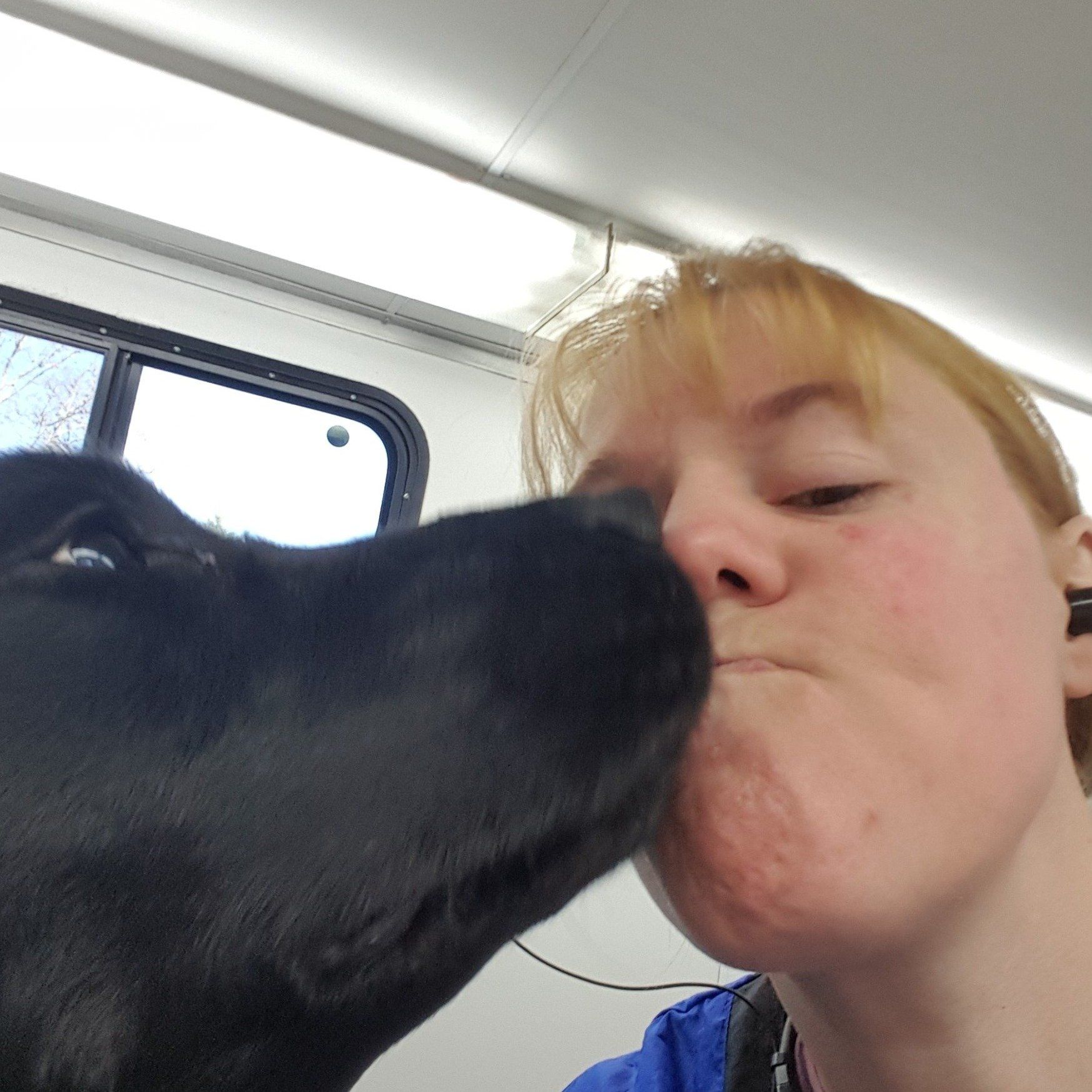 Dog In Towel — Barkingham Mobile Pet Spa — Nottingham, NH