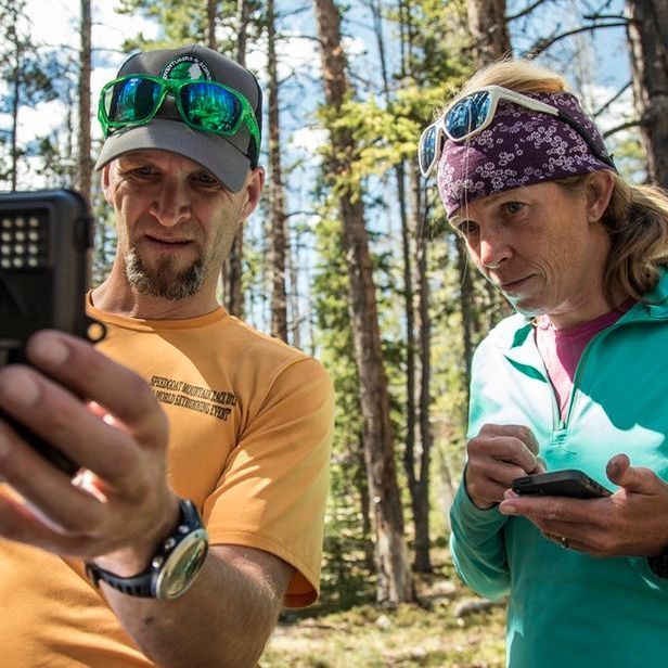 Volunteers Collecting Data