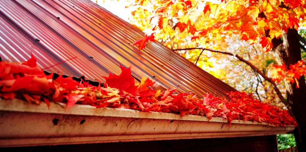 Autumn leaves in a Buffalo, NY gutter that needs gutter cleaning