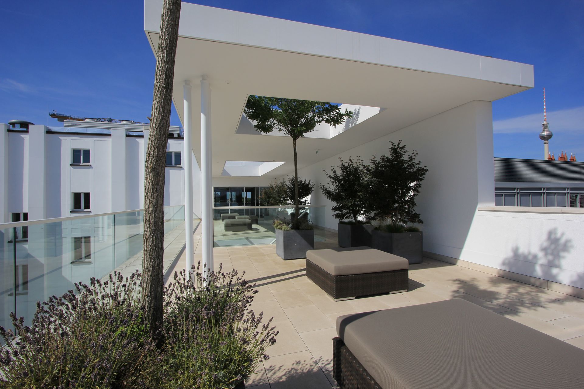 Ein Balkon mit einem Baum in der Mitte