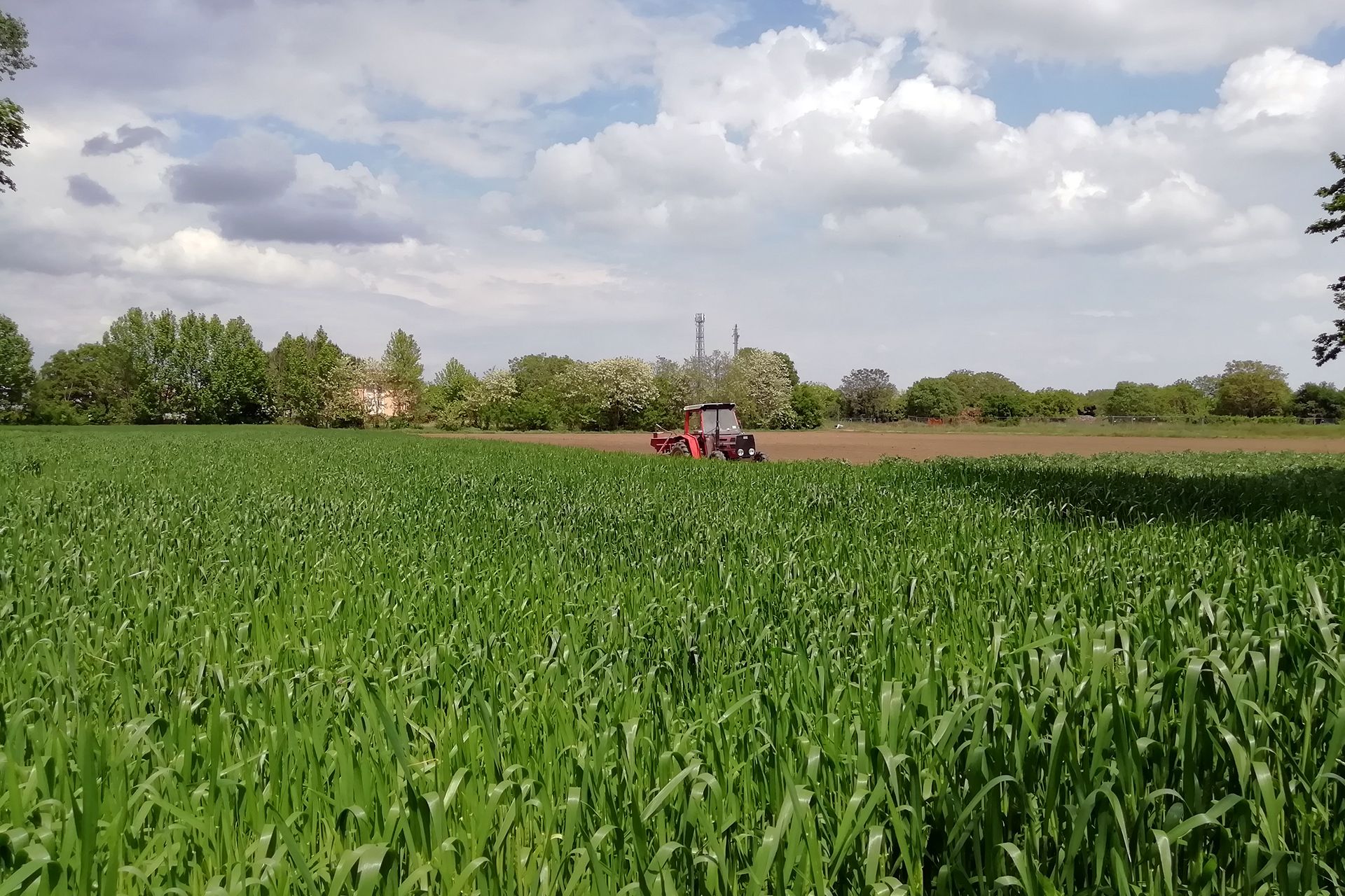 agricoltura biologica