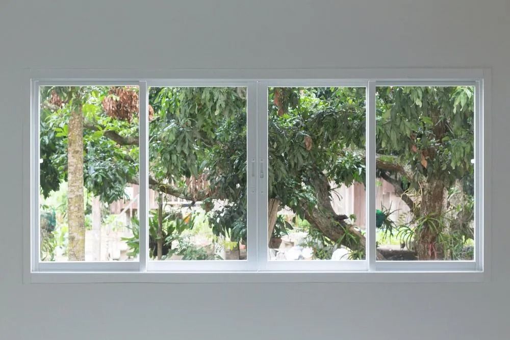White-framed sliding window showing a view of green trees and foliage against a white wall.