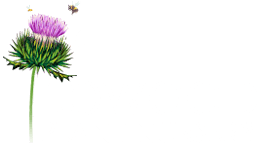 Wee Scottish Plant Nursery logo
