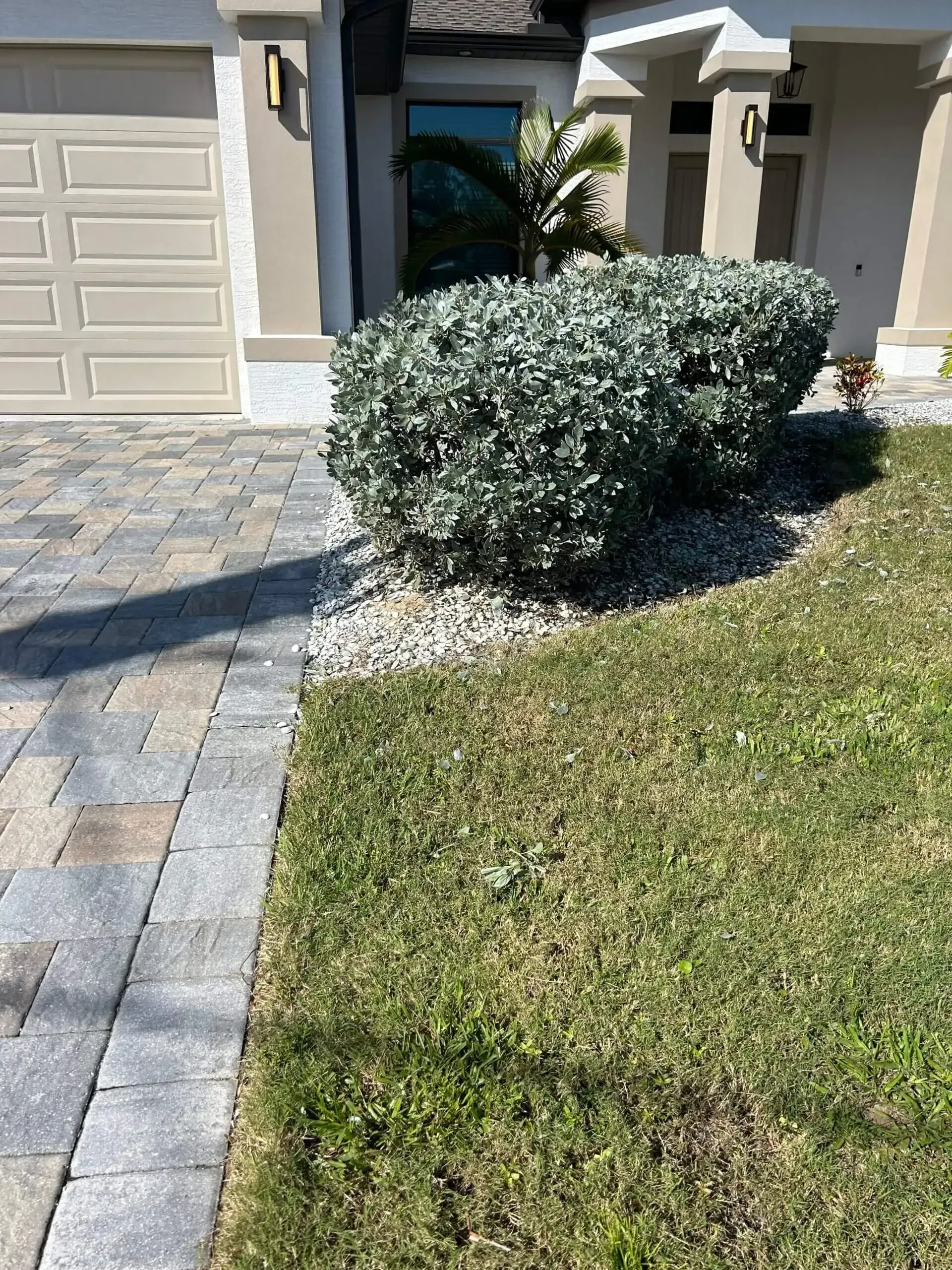 Driveway and lawn with a large green bush in front of a home with a beige garage door.
