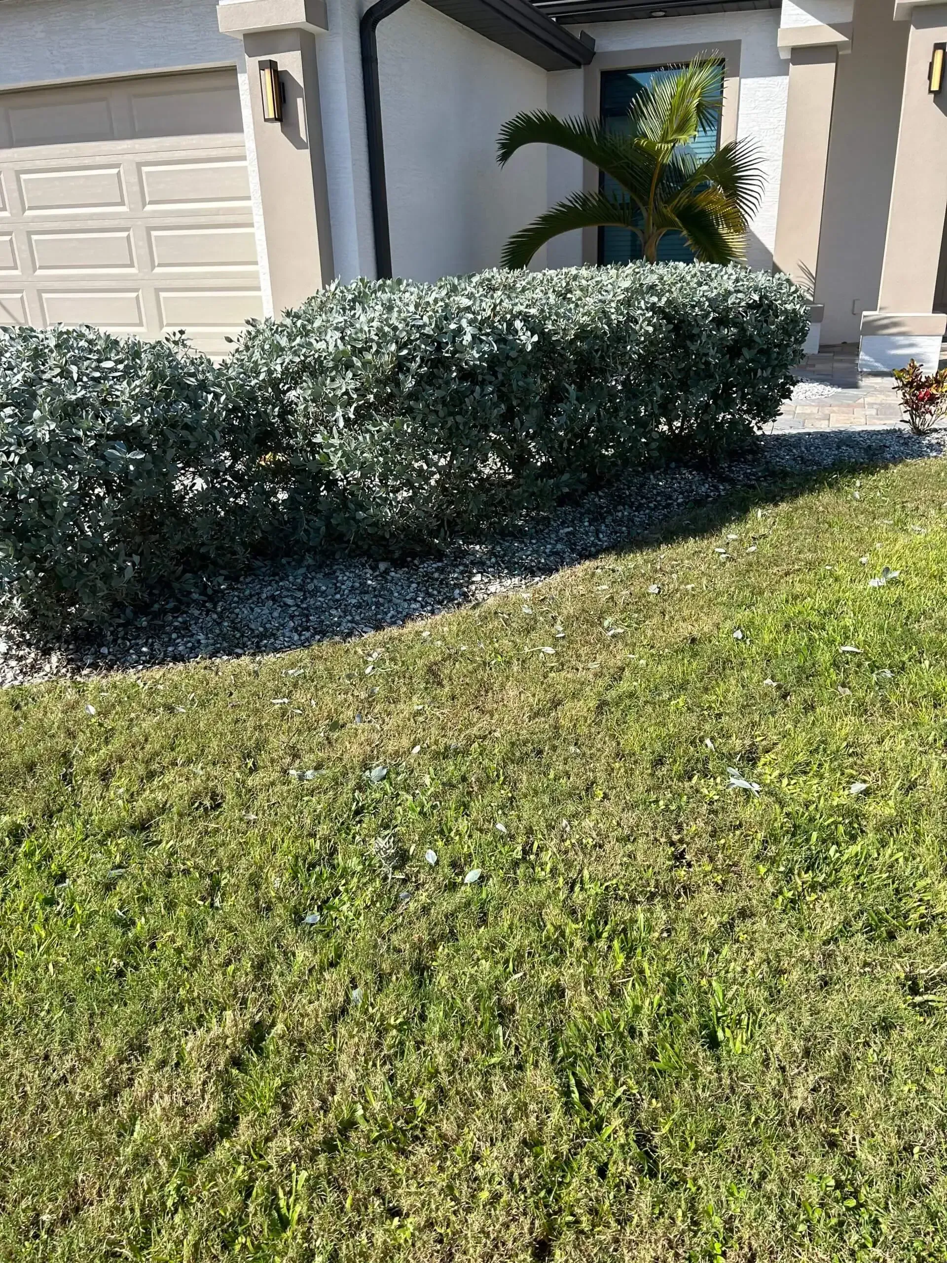 Green lawn in front of a house, with a trimmed hedge. White driveway and beige exterior.