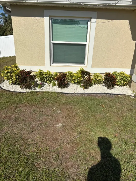 Tan building with a window above a bed of plants, white rocks, and a green lawn; sunny day.