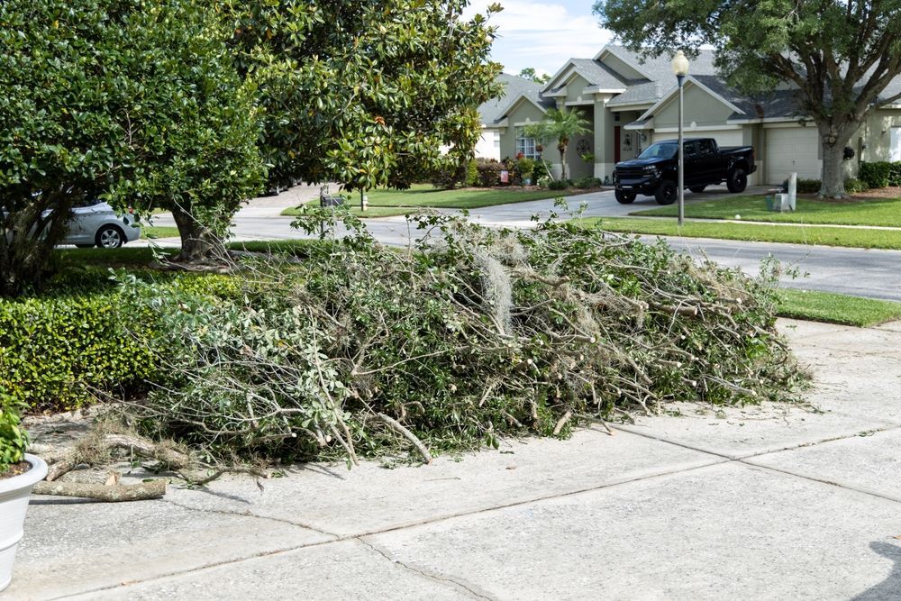 Pile of freshly cut green branches on a sidewalk in front of houses.