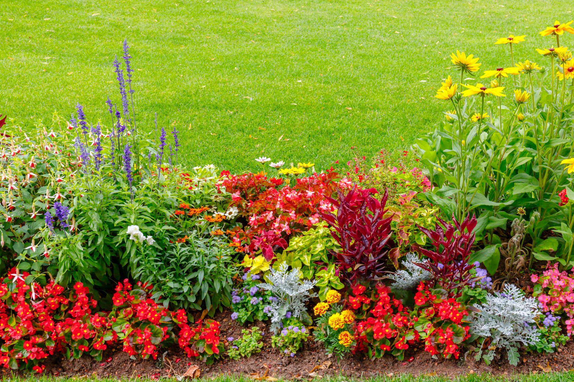 Colorful flower bed with red, yellow, purple, and white blooms against a green lawn
