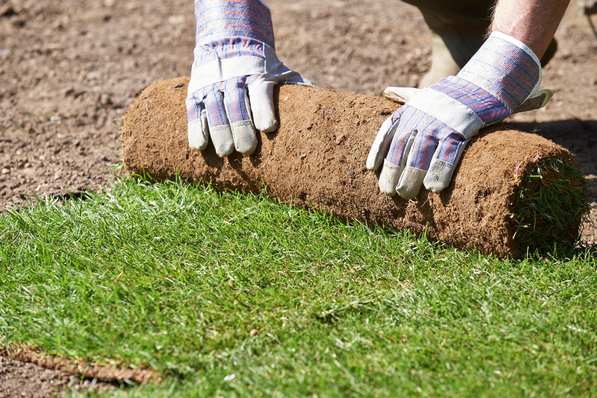 Gloved hands rolling out a roll of green sod onto bare soil