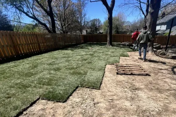 custom landscaping in rogersville mo