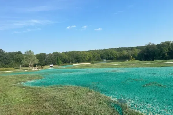 Quick lawn establishment with hydroseeding in Springfield, Missouri