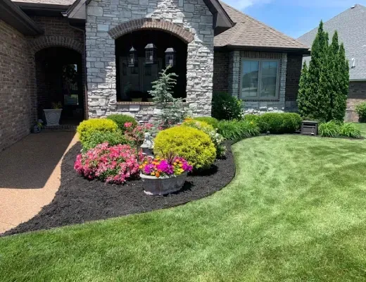 Professional landscaping services in Springfield, MO