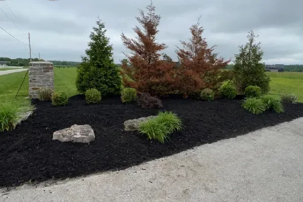 Professional landscaping services including planting, grading, and outdoor enhancements