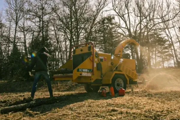 tree removal for efficient land clearing and property development
