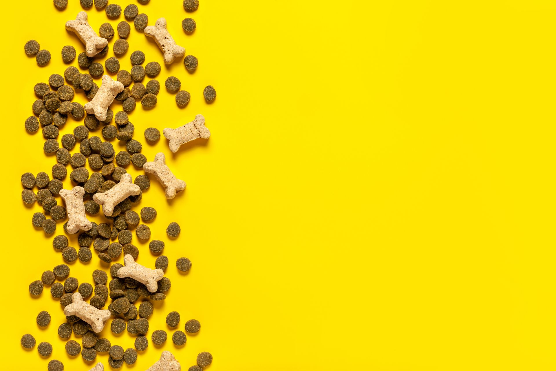 Una pila di cibo e snack per cani su uno sfondo giallo.