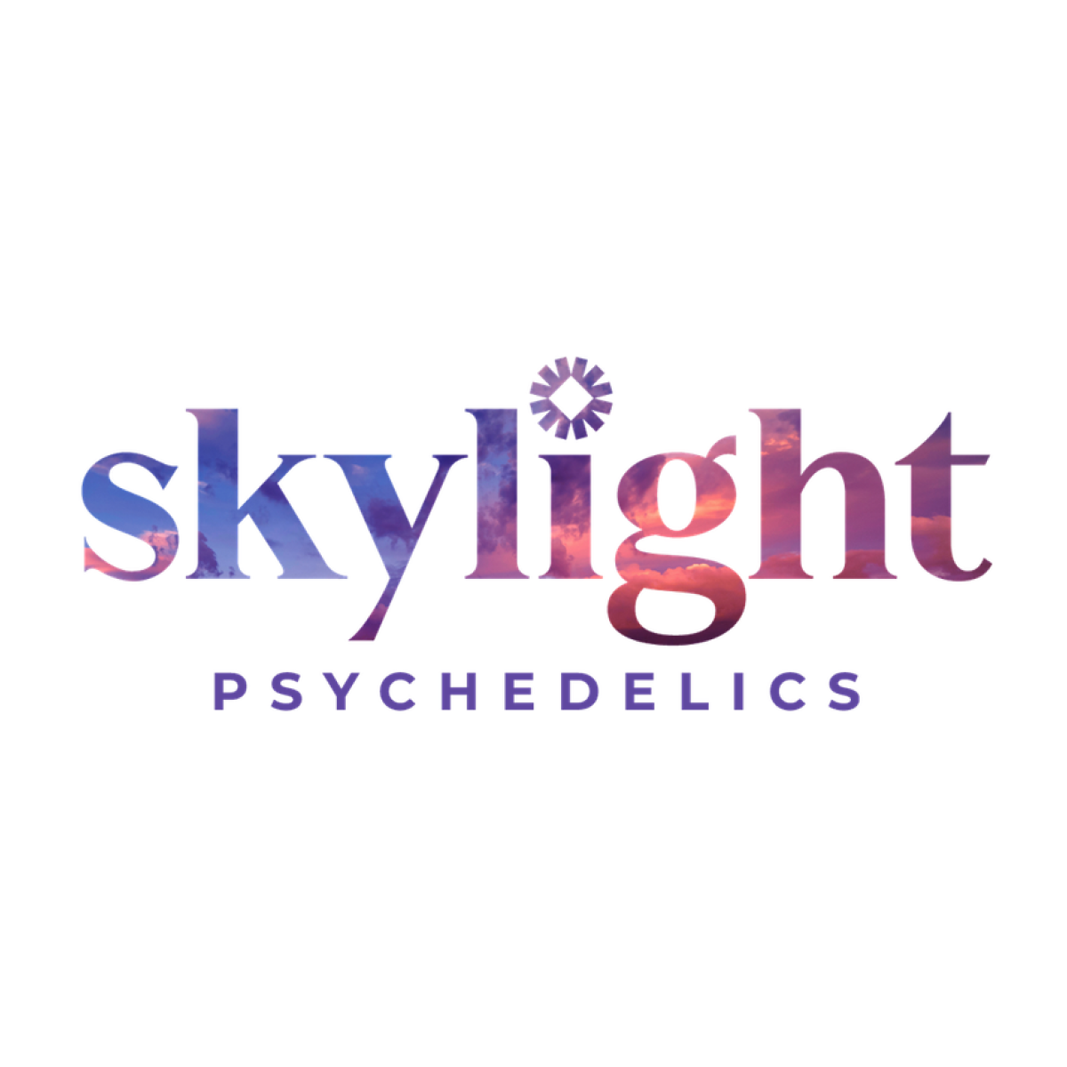 Skylight logo
