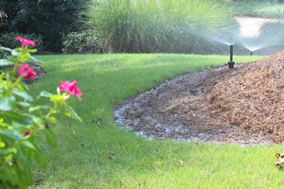 A sprinkler watering a green lawn and mulch bed with vibrant pink flowers in the foreground.