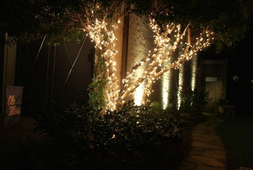 A nighttime view of trees wrapped in glowing white fairy lights next to a stone path and a lit building wall.
