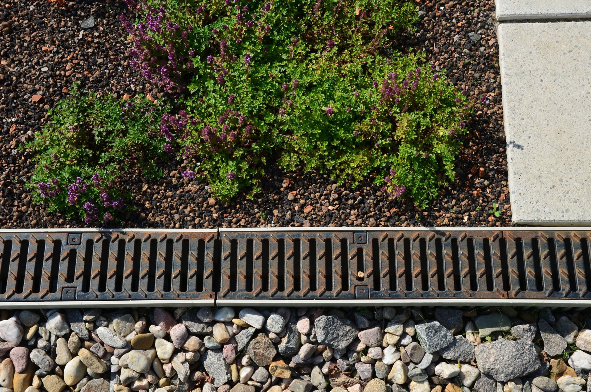 A metal trench drain separates a patch of green plants with purple flowers from a bed of light-colored landscaping stones.