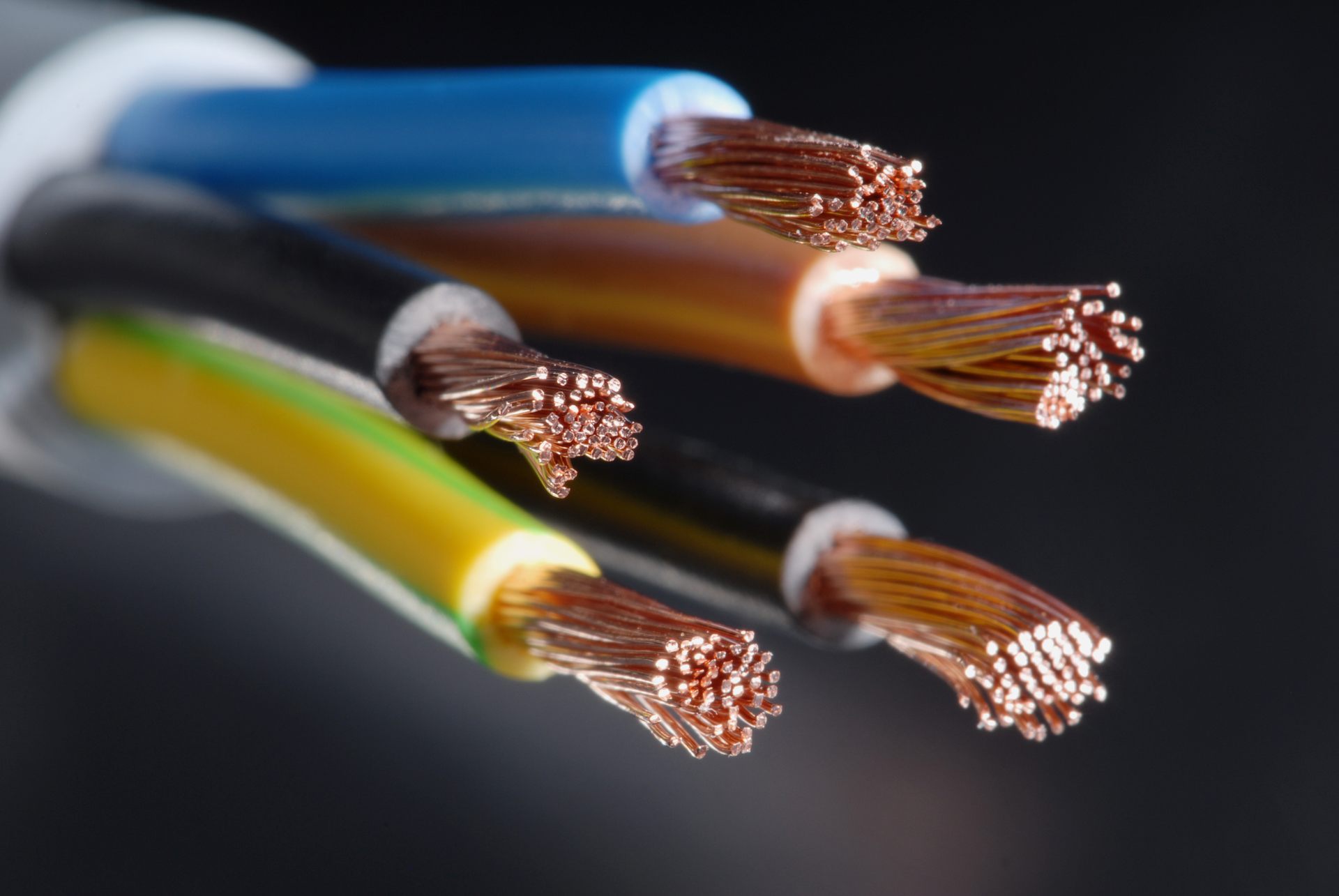 A multi-conductor electrical cable with exposed copper wire ends in blue, brown, black, and green-yellow insulation.