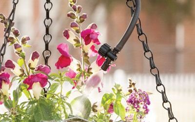 A drip irrigation emitter watering a hanging basket filled with colorful snapdragons and small purple flowers.