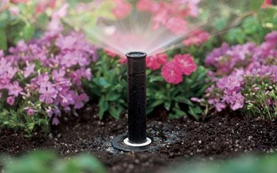 A pop-up sprinkler head sprays a fine mist over a garden of pink flowers and green foliage.