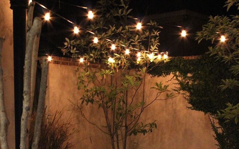 String lights hanging above a small tree in a backyard at night, casting a warm glow against a beige wall.