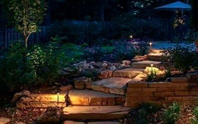 A stone staircase in a landscaped garden at night, illuminated by soft landscape path lights.