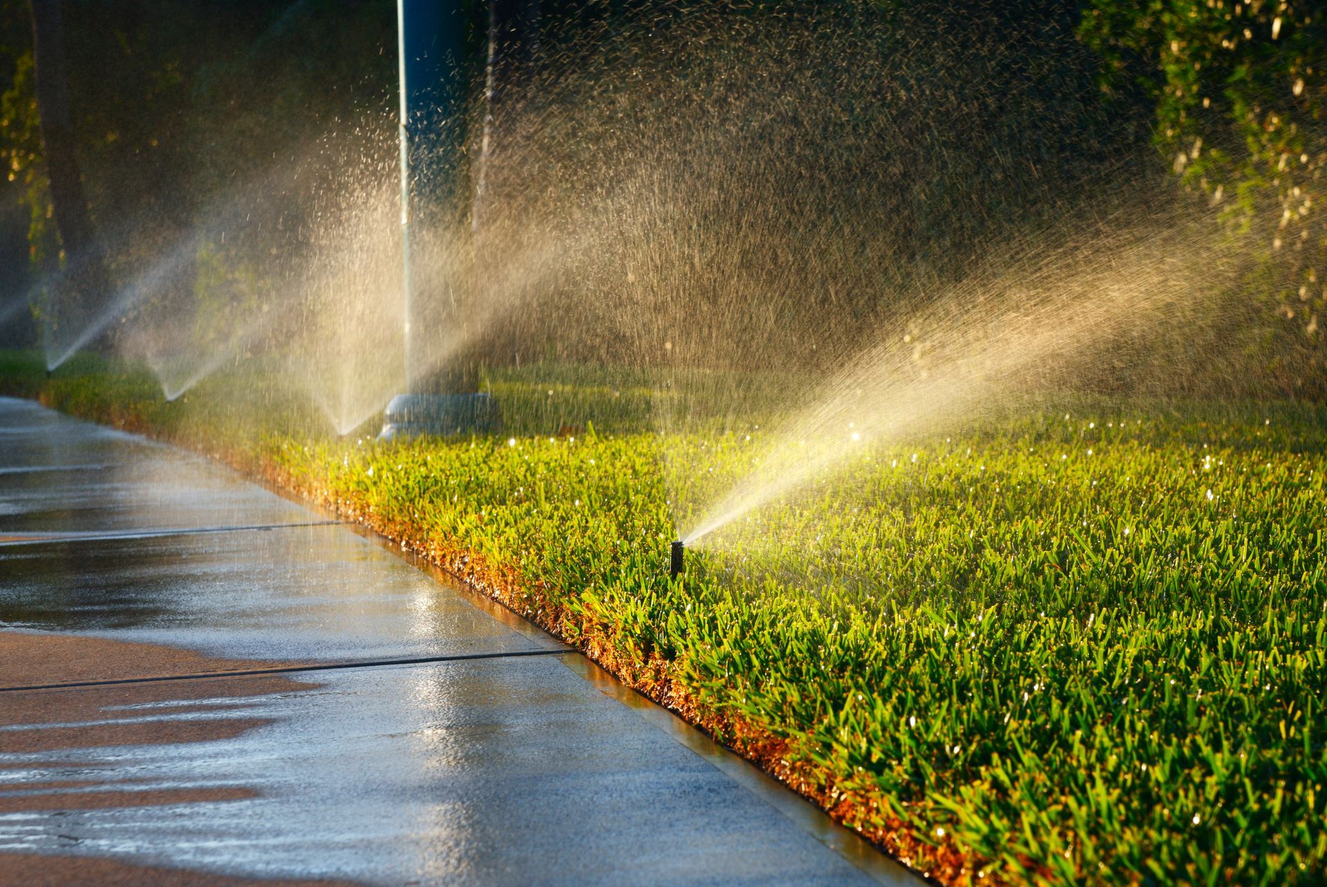 A lawn sprinkler sprays water over a patch of green grass next to a concrete sidewalk in the warm sunlight.