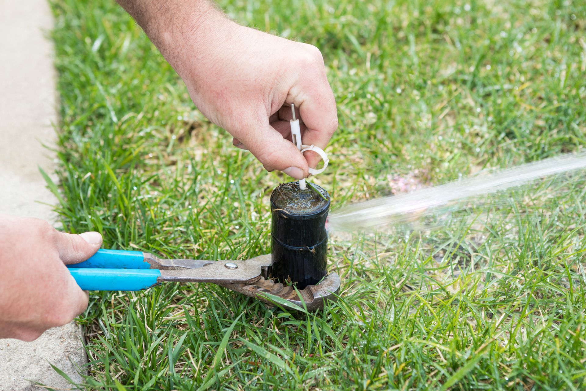 Hands use blue-handled pliers and a tool to adjust a black sprinkler head spraying water onto a green grass lawn.