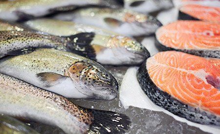 Catfish — Salmon in San Bruno, CA