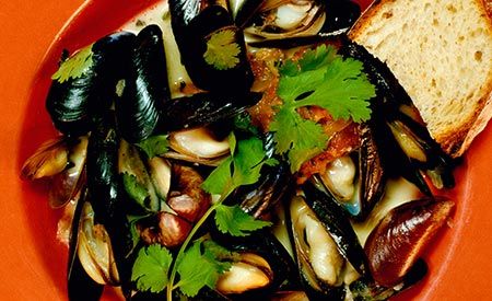 Salmon — Mussels Recipe in San Bruno, CA