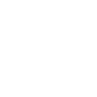 Wellness Staffing Icon