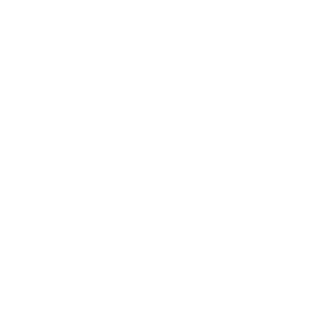 Luxury eCommerce Staffing Icon