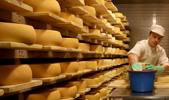 Cheese Manufacturer