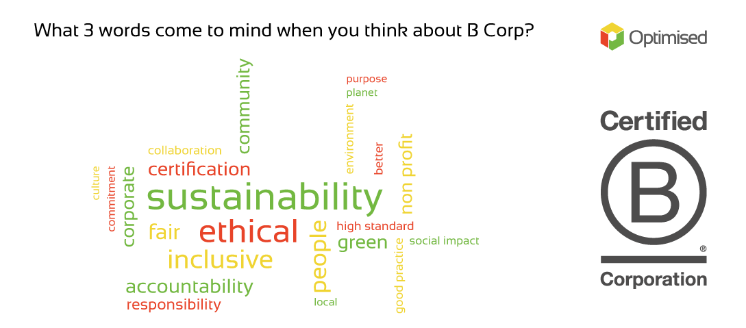 Our Commitment to Sustainability & Inclusivity