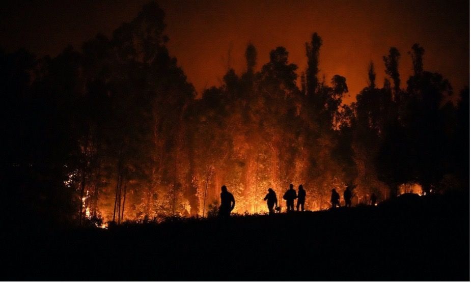 WHY NET ZERO AND WHY NOW?| Forest fires in 2023, Chile