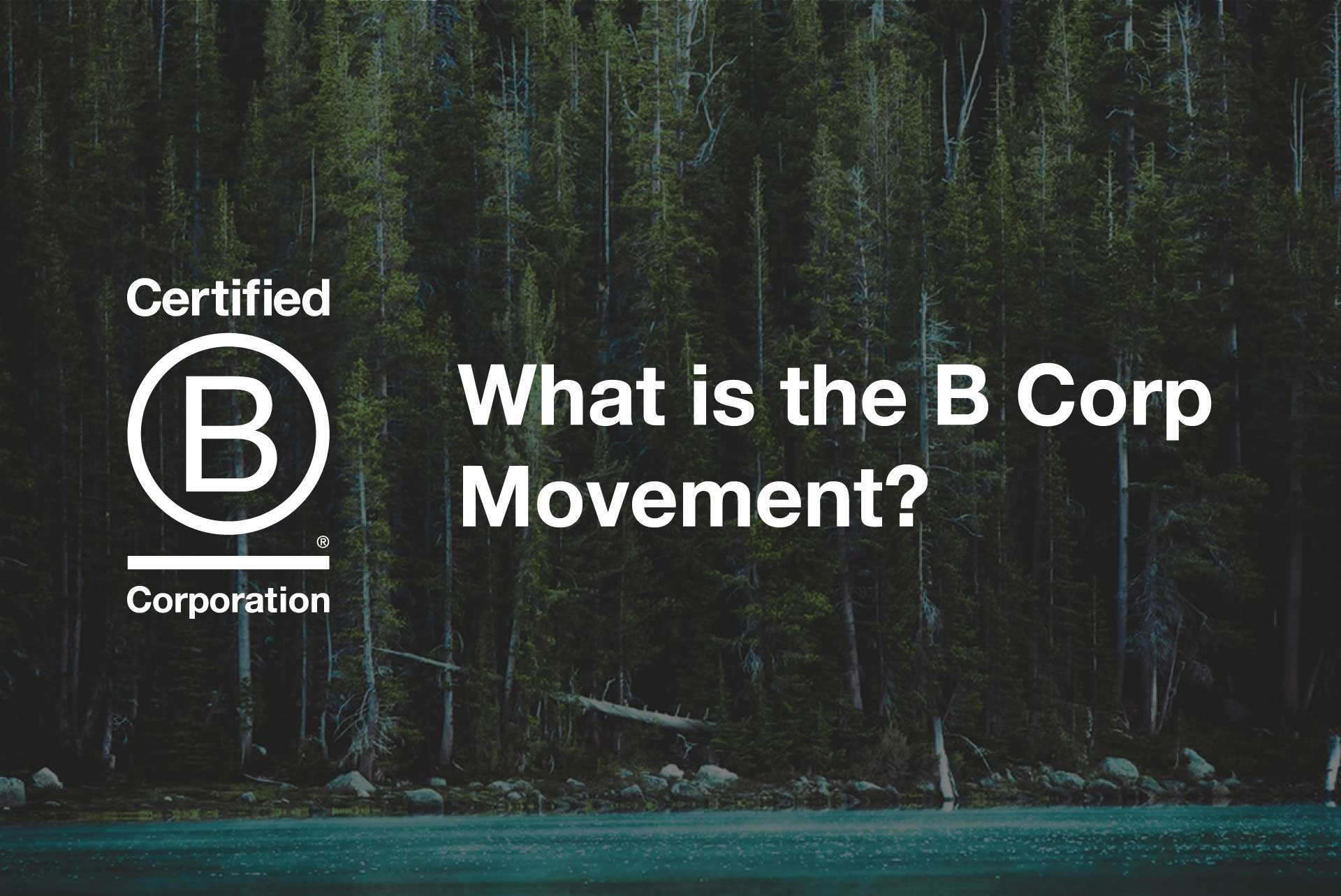 What Is The B Corp Movement?