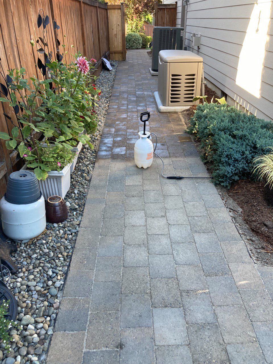 Pavers cleaning