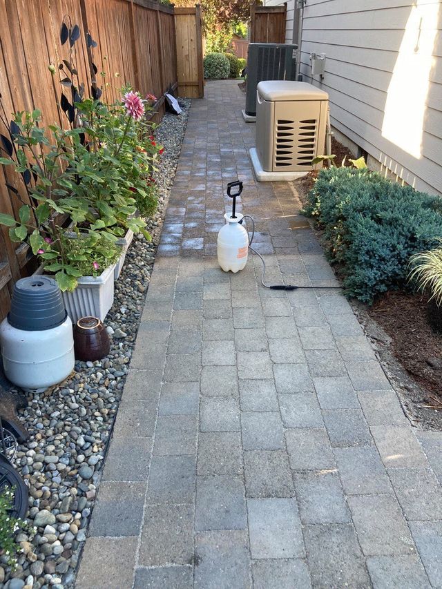 Paver Maintenance and Remedies