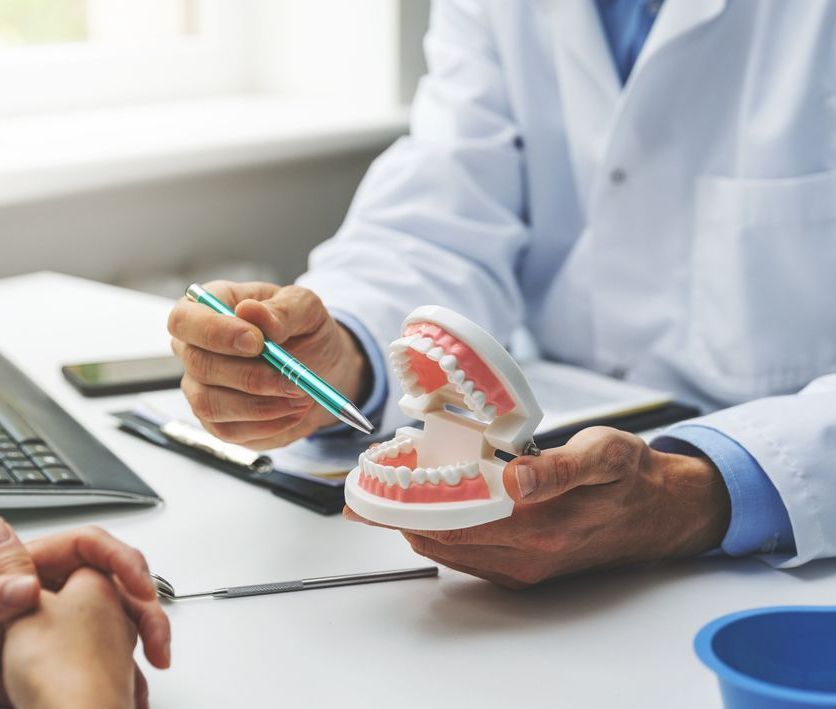 A dentist is holding a model of teeth and talking to a patient.