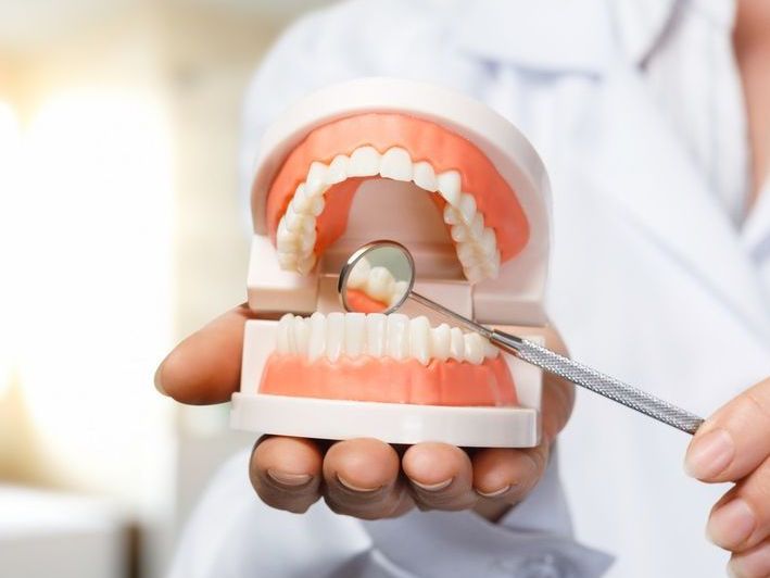 Un dentista está examinando un modelo de dientes con un espejo.